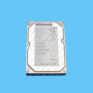 160GB ATA100 7200 RPM Disk Drive 160GB ATA100 7200 RPM Disk Drive