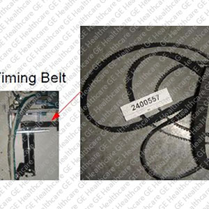 Timing Belt 2400557