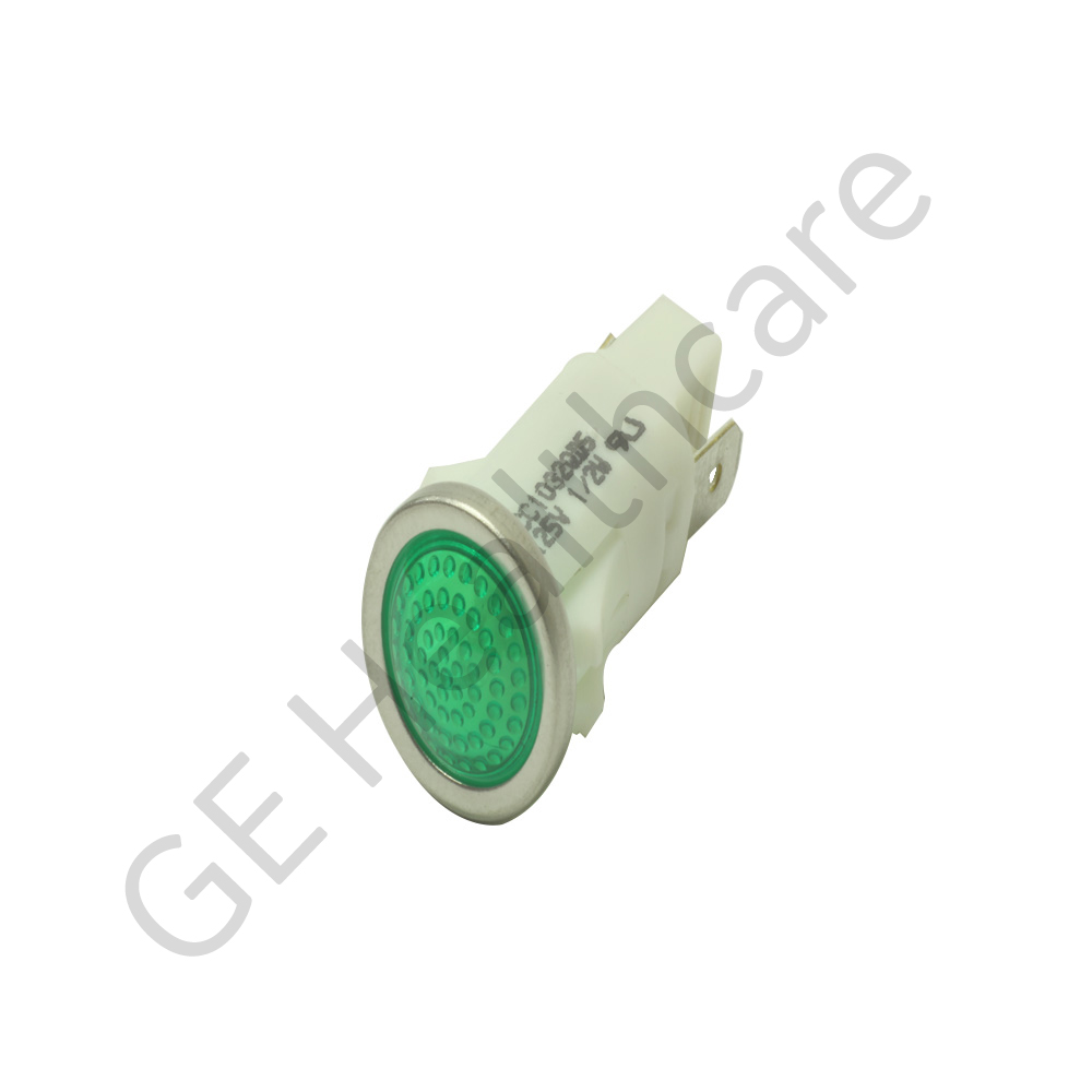 Indicator Neon Green Lamp 105-1 25V 100 115V